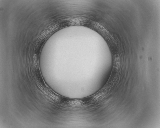 X0000059840318200511111751