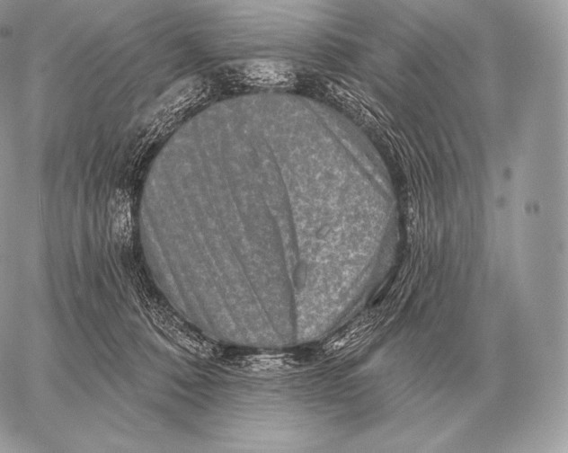 X0000059840320200511111751