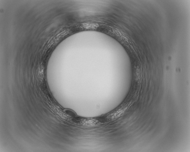 X0000059840321200511111751