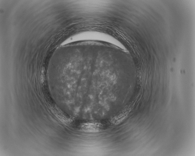 X0000059840323200511111751