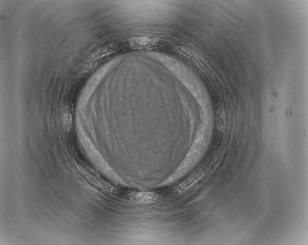 X0000059840324200511111751