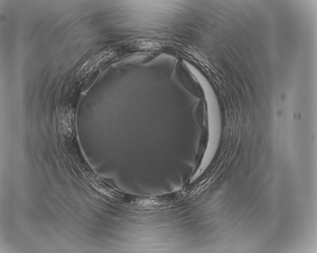 X0000059840325200511111751