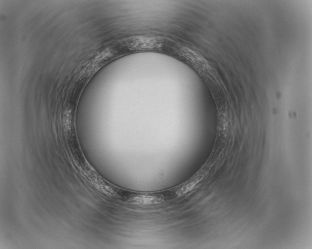 X0000059840326200511111751