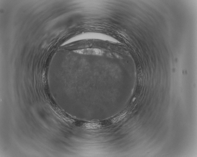 X0000059840327200511111751