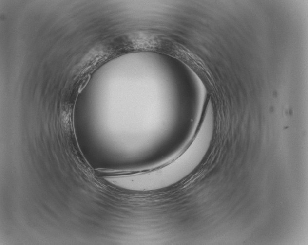 X0000059840329200511111751