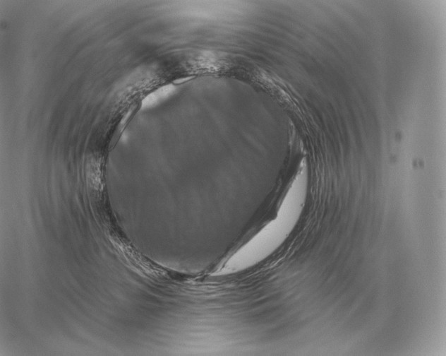 X0000059840331200511111751