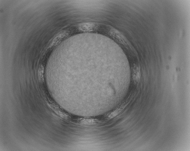 X0000059840332200511111751