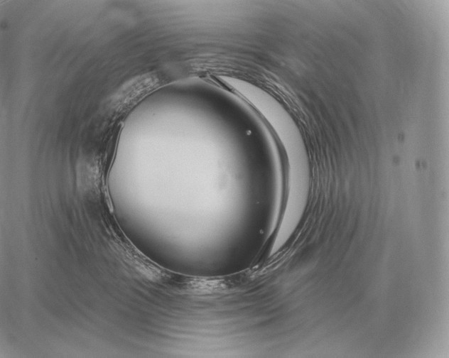 X0000059840333200511111751