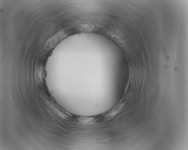 X0000059840334200511111751