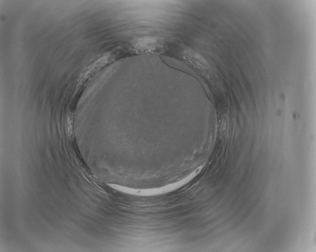 X0000059840335200511111751