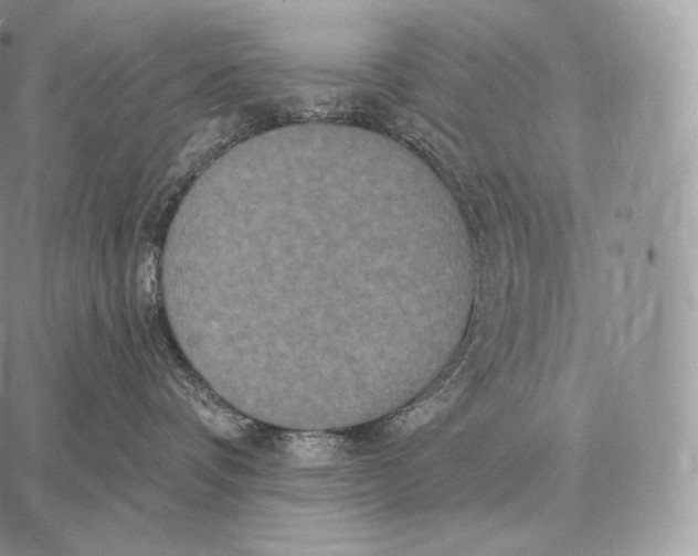 X0000059840336200511111751