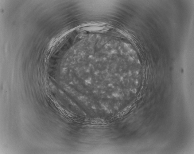 X0000059840337200511111750