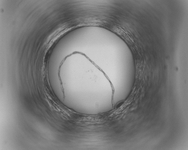 X0000059840338200511111750