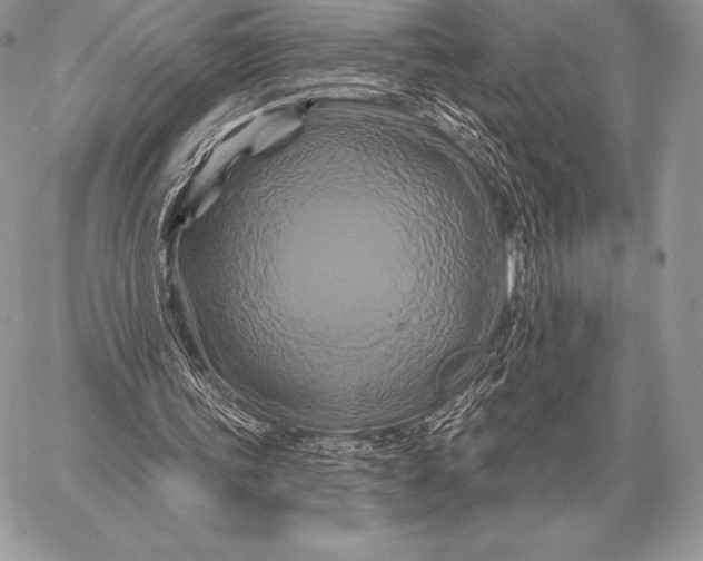 X0000059840339200511111750