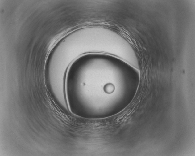 X0000059840340200511111750