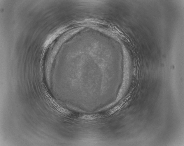 X0000059840341200511111750