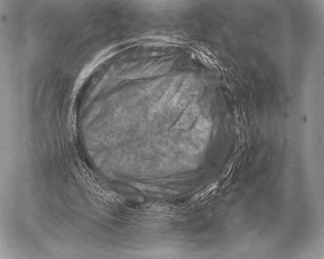 X0000059840343200511111750