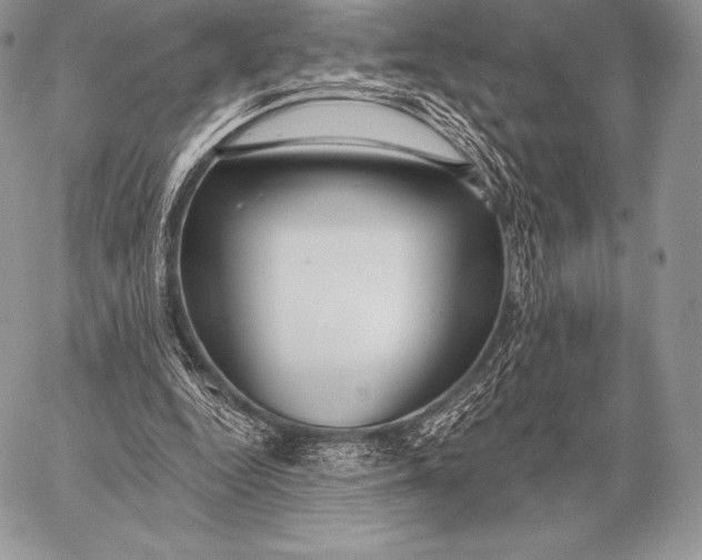 X0000059840344200511111750