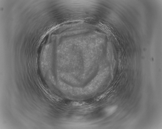 X0000059840346200511111750