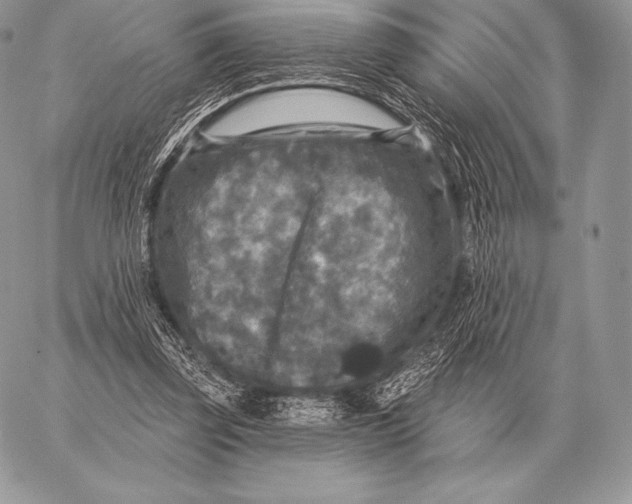 X0000059840347200511111750