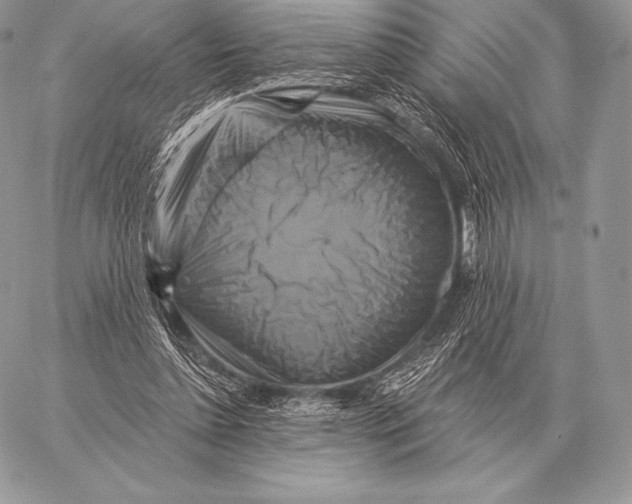 X0000059840348200511111750