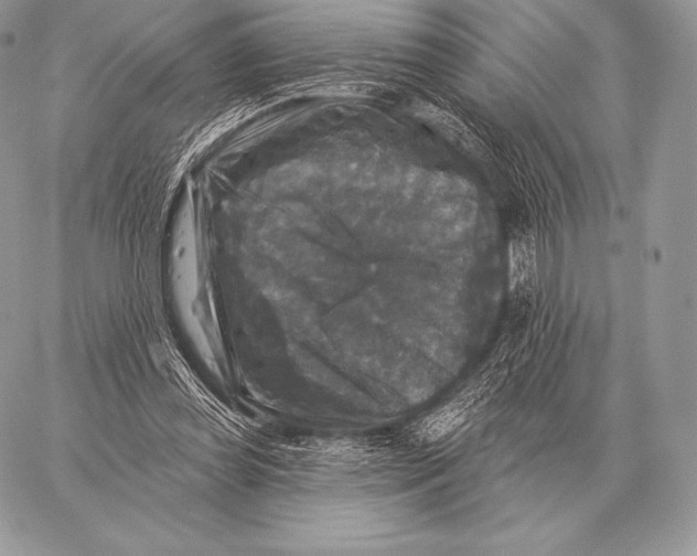 X0000059840349200511111750