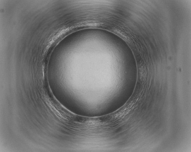 X0000059840350200511111750