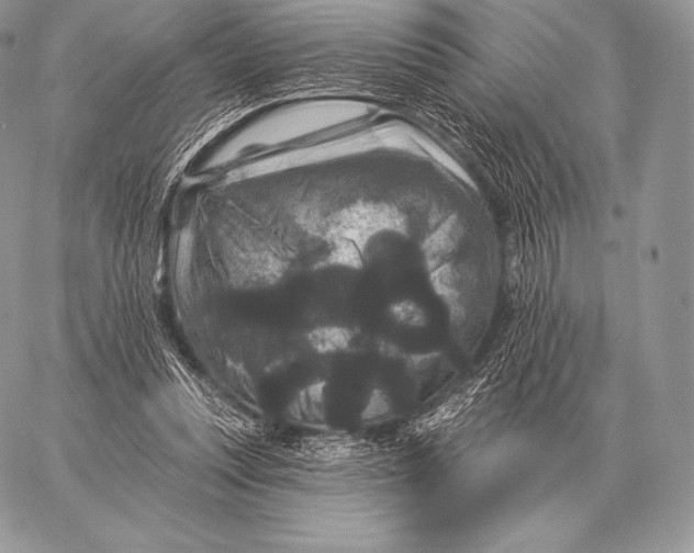 X0000059840351200511111750