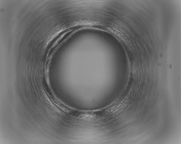 X0000059840352200511111750