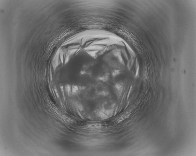 X0000059840353200511111750