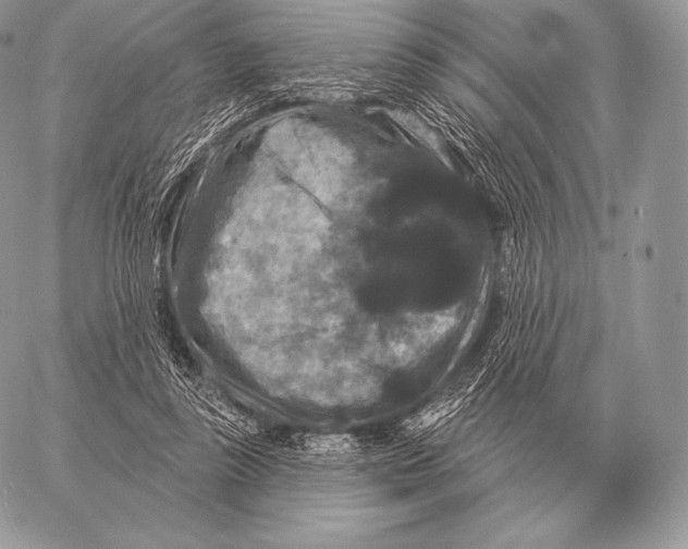 X0000059840355200511111750