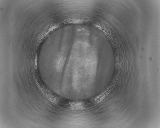 X0000059840358200511111750