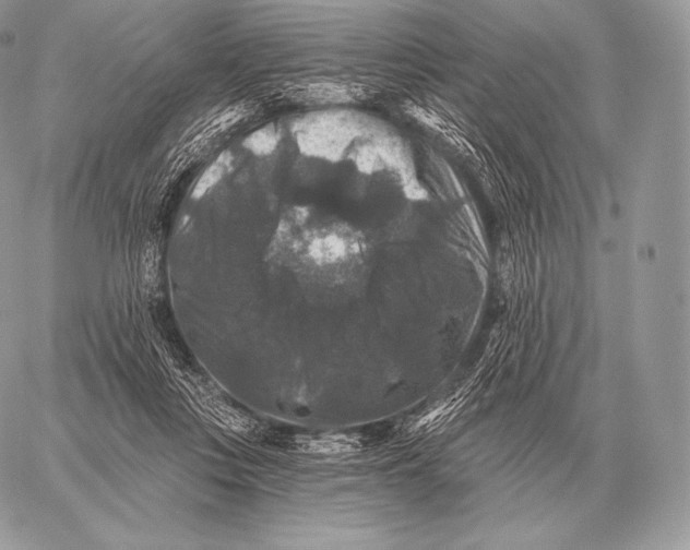 X0000059840359200511111750