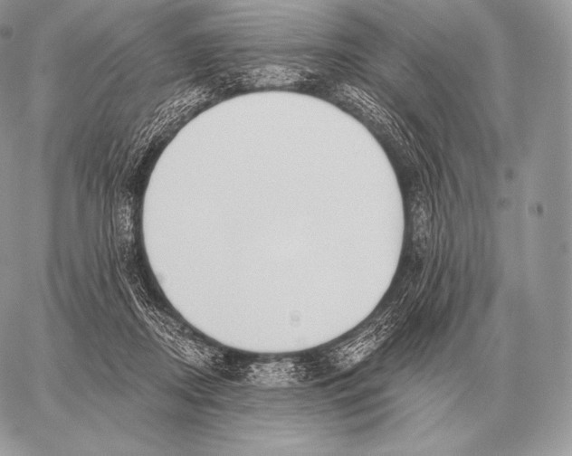 X0000059840362200511111751