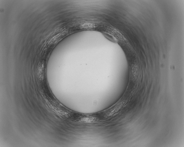 X0000059840364200511111751