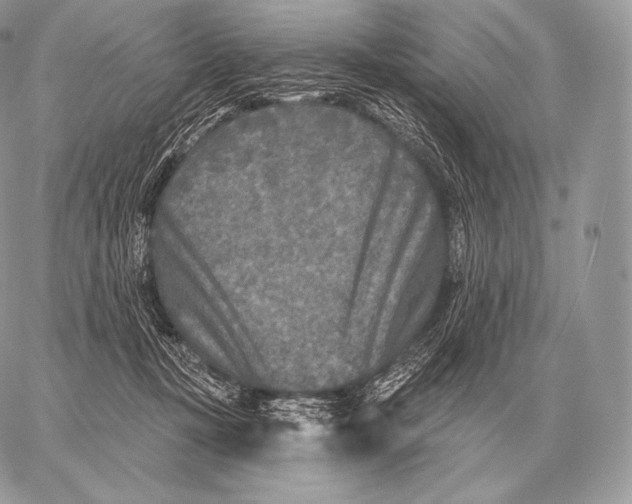 X0000059840367200511111751