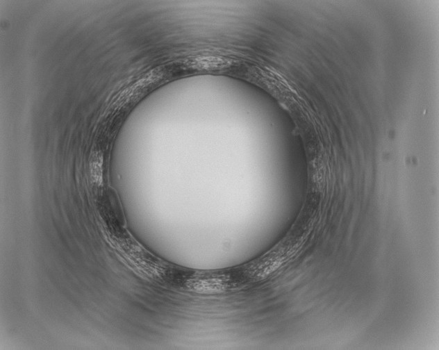 X0000059840368200511111751