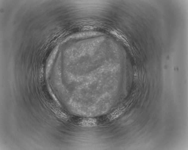 X0000059840369200511111751