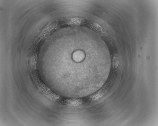 X0000059840370200511111751