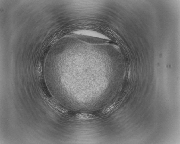 X0000059840372200511111751