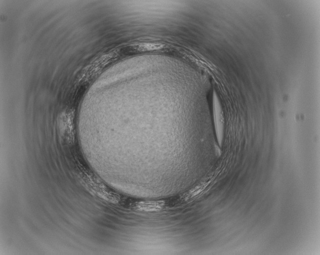 X0000059840373200511111751