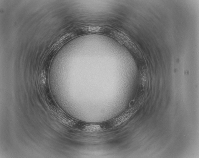 X0000059840374200511111751