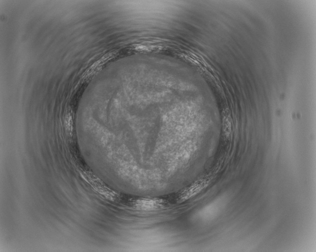 X0000059840375200511111751