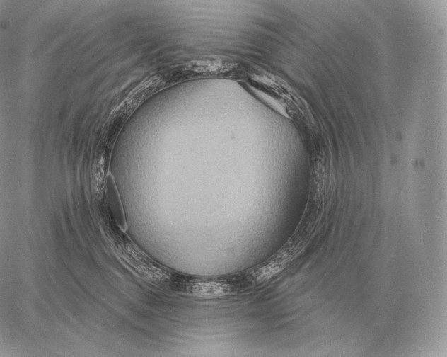 X0000059840376200511111751