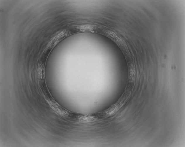 X0000059840379200511111751