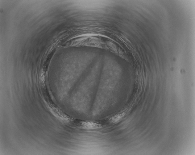 X0000059840380200511111751