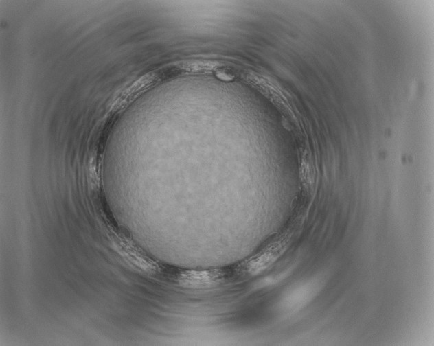 X0000059840381200511111751