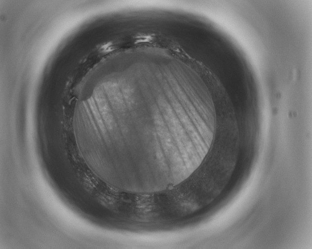 X0000059840382200511111751