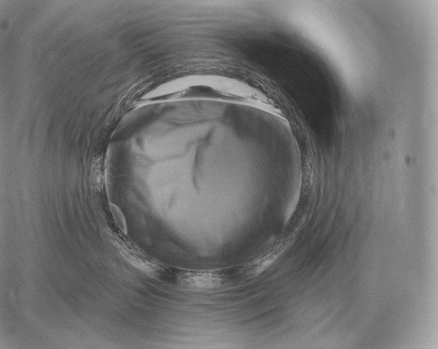 X0000059840383200511111751