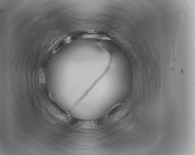 X0000059840384200511111751